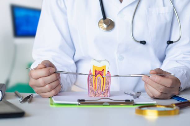 Best Emergency Root Canal Treatment in Ashville, AL